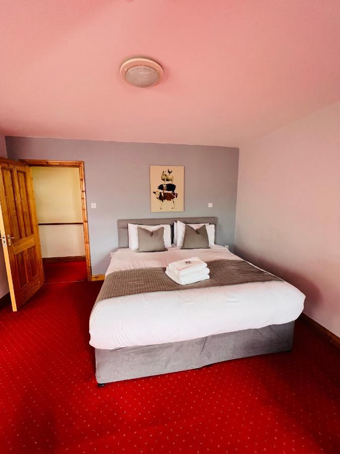 Dingle Marina Lodge Luaran gambar