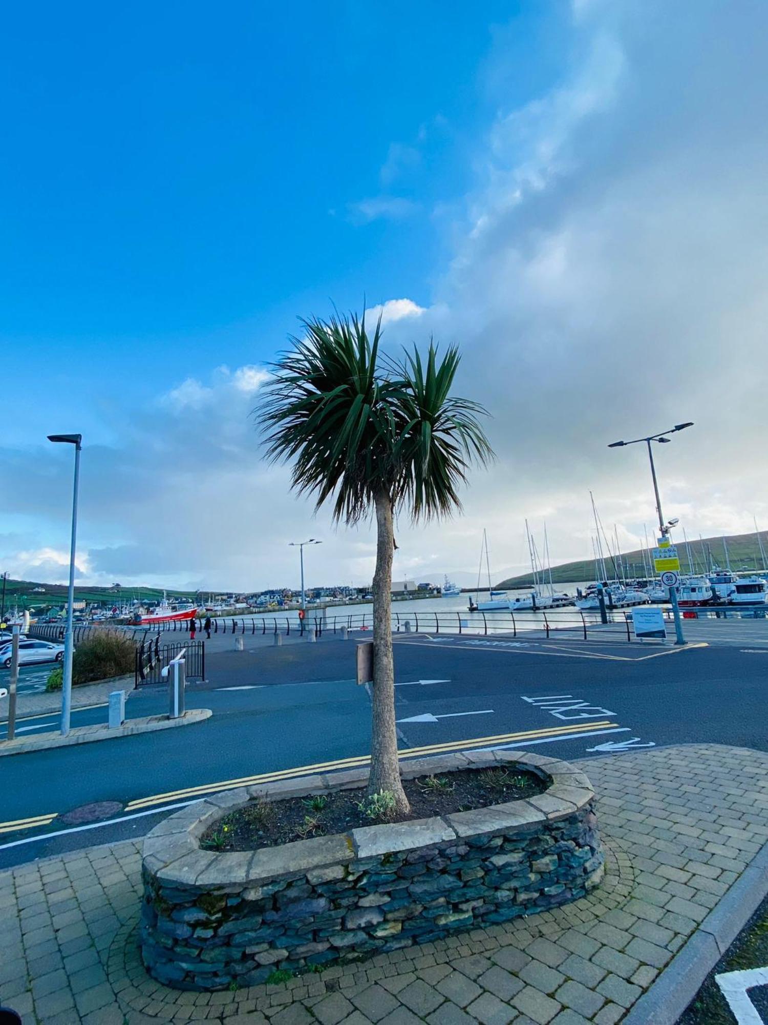 Dingle Marina Lodge Luaran gambar