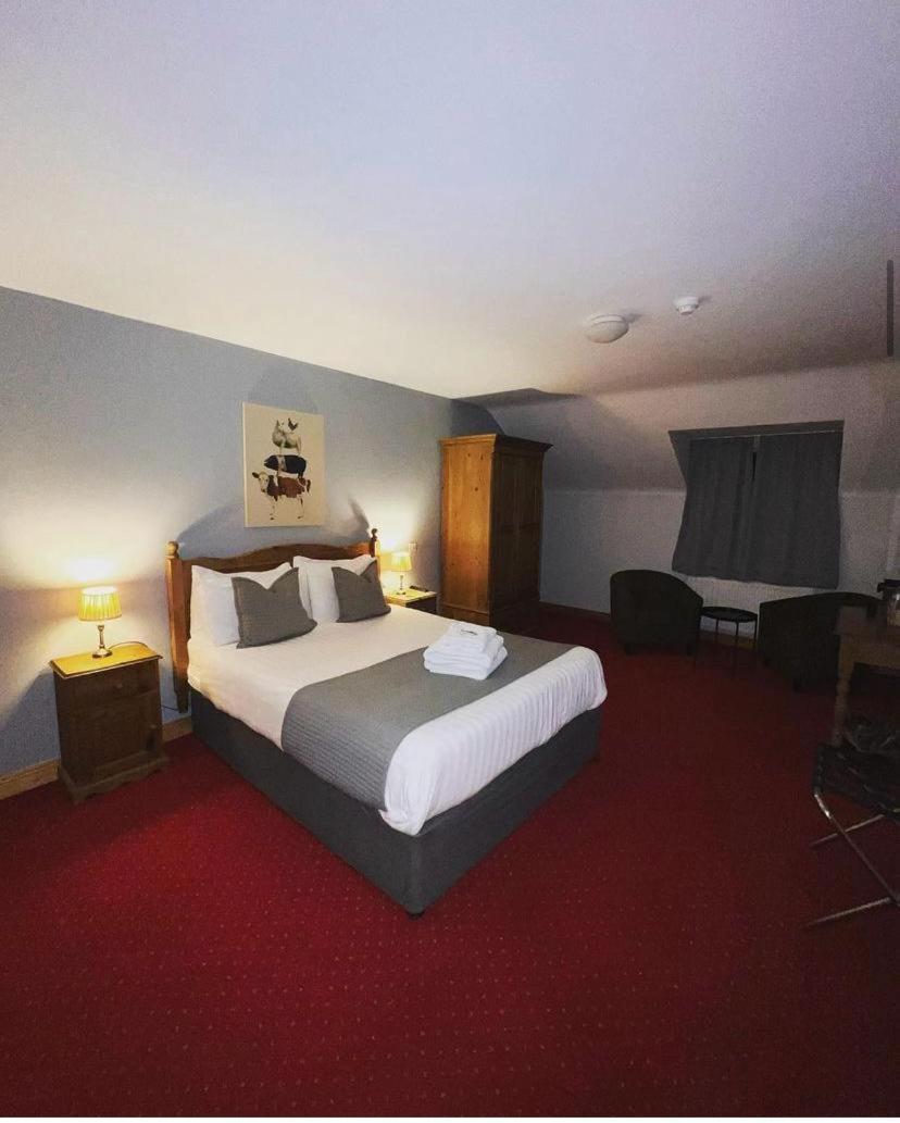 Dingle Marina Lodge Luaran gambar